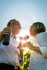 Senioren Mann und Frau trinken Wein im Weinberg, stoßen mit den Gläsern an