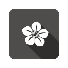 Hellebore, Caltha flower icons. Spring floral symbol. Round circle flat icon with long shadow. Vector