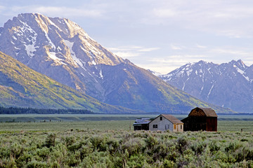 Beautiful scenic old barn and snow capped mountains in The Grand Tetons.