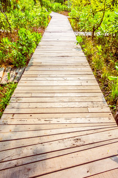 Wooden path for walking © siraphol