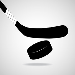 Hockey stick and puck