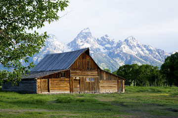 Scenic barn below snow capped mountains in The Grand Tetons. © bettys4240