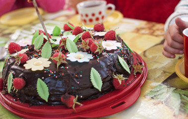 Summer cake on birthday party