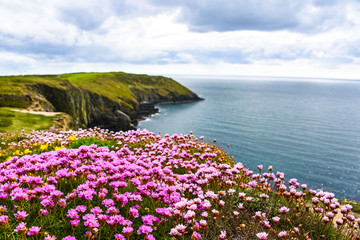 Ireland seascape