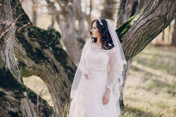 wonderful wedding day