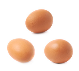 Single brown chicken egg isolated