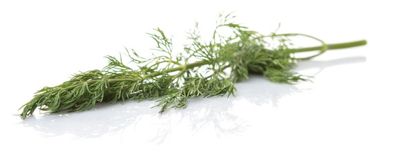 Fresh dill herbs over white background