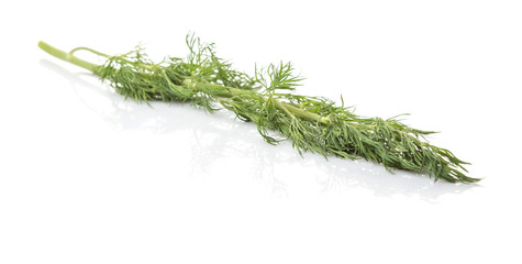 Fresh dill herbs over white background