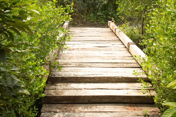 Wooden Walkway in a Lush Tropical Garden