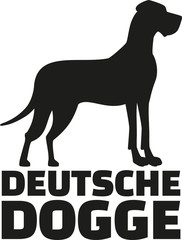 Great dane with breed name deutsche dogge