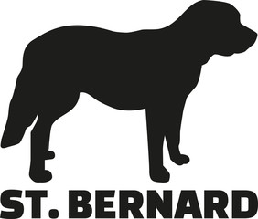 St. Bernard dog with breed name