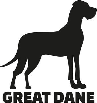 Great dane with breed name