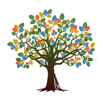 Color Tree nd Roots. Vector Illustration.