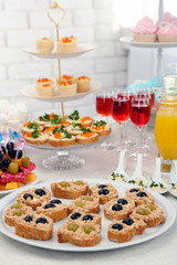 Set of cold snacks, canape, beverages and dessert, closeup