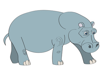 Illustration of a hippopotamus