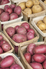 Red and white organic new potatoes in wooden baskets for sale at farmers market
