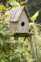 Rustic wooden birdhouse in garden with clematis vines