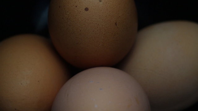 Five Eggs Rotating on Black Plate