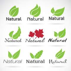 Natural logo design vector template on white background. Leaf ic