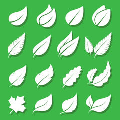 Vector leaves white icon set on green background