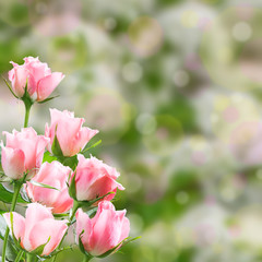 Obraz premium Holiday Nature Floral Background