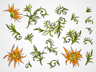 Fototapeta premium Vector set of hand drawn flowers, branches and leaves.