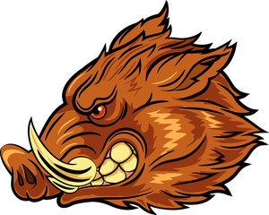 Illustration of head wild boar mascot