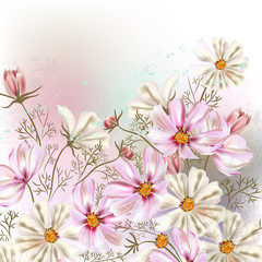 Fototapeta na wymiar Background or illustration with cosmos flowers in retro style