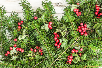 Christmas background with spruce twig and hawthorn on white wood.
