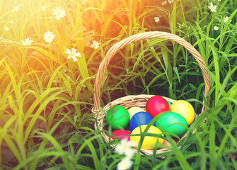 Basket of easter eggs on meadow in green spring grass, Closeup