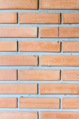 Obraz premium old vintage brick wall texture