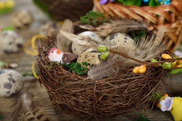 Quail eggs in a nest