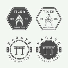 Set of vintage karate or martial arts logo, emblem, badge, label