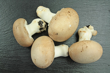 champignons 02072016