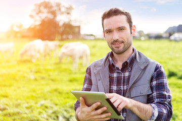 Young attractive farmer in a field with cows