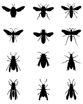 Black silhouettes of bees and wasps, vector