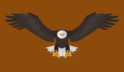 Bald Eagle flying, Vector illustration