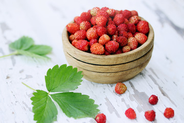 Wild small strawberry of the woods on a white board