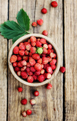 Wild small strawberry,  top view