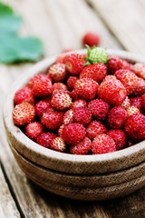 Wild small strawberry in a wooden bowl