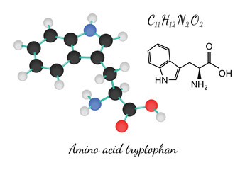 C11H12N2O2 amino acid tryptopha molecule