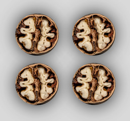 Four open nuts isolated over plane background