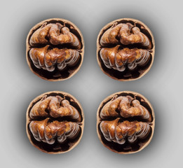 Four open nuts isolated over plane background