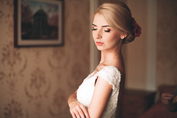 Obraz na płótnie Canvas Gorgeous blonde bride in robe posing and preparing for the wedding ceremony face in a room