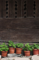 vases with green plants next to a traditional wooden fence