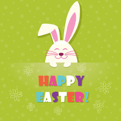 cute rabbit in Ester light green background    