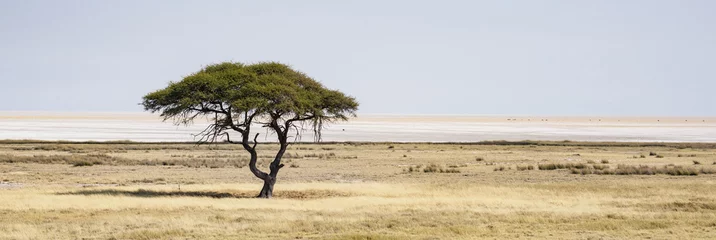  Etosha National Park © Nikokvfrmoto