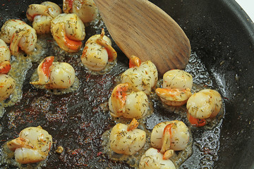 saint-jacques 07022016