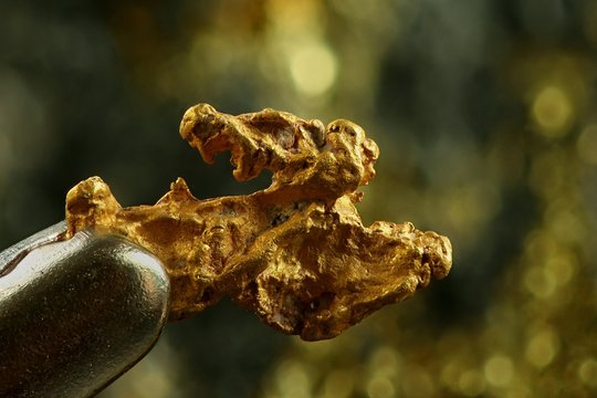Nugget of gold. This is hand-panned gold from the Lemmenjoki national park in finnish Lapland.
