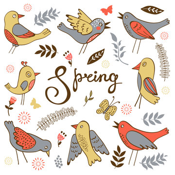 Spring collection with birds flowers and twigs